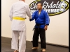 Checkmate Martial Arts Jujitsu Belt Test